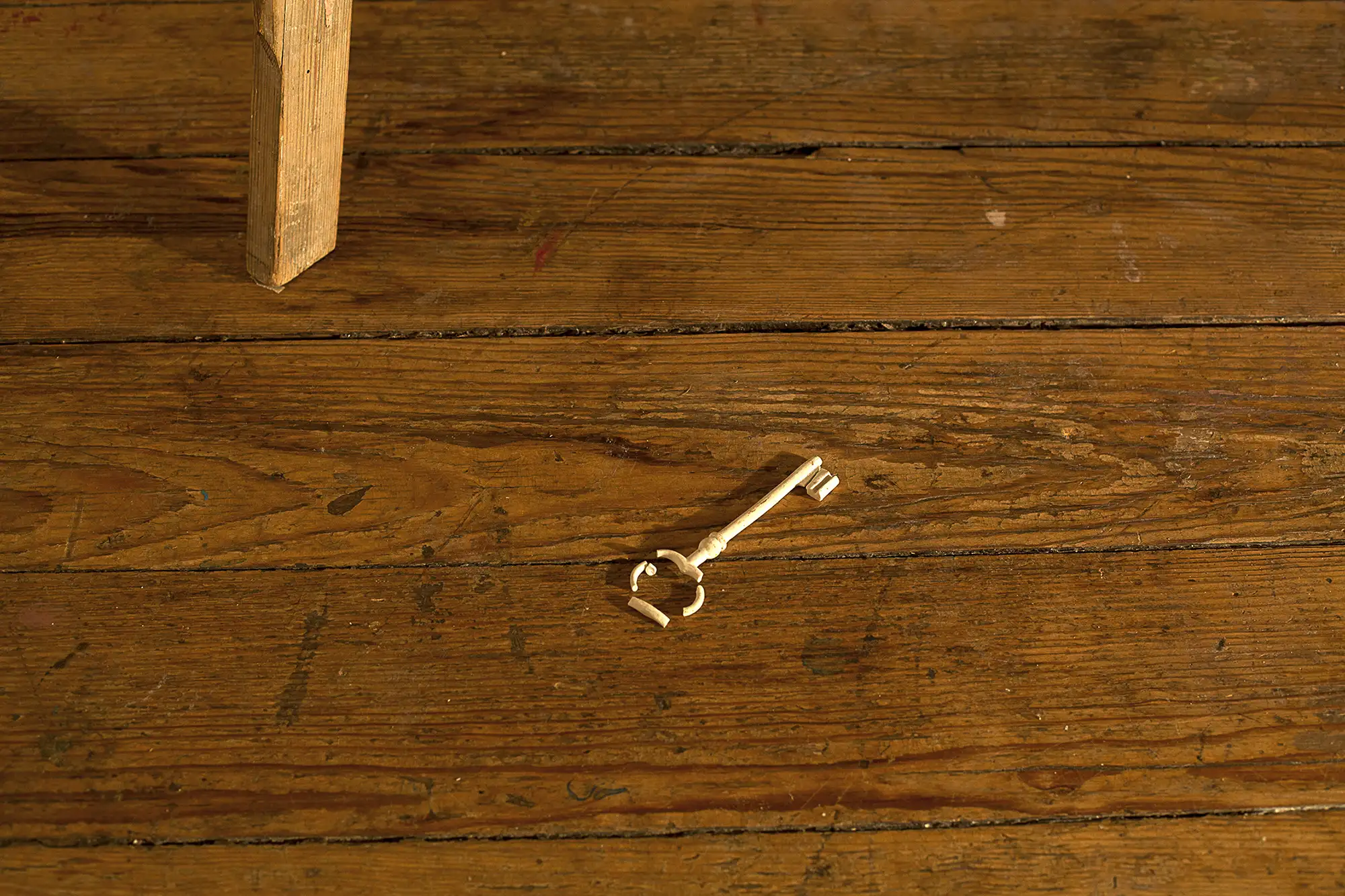 chasing little pasts_TWS detail